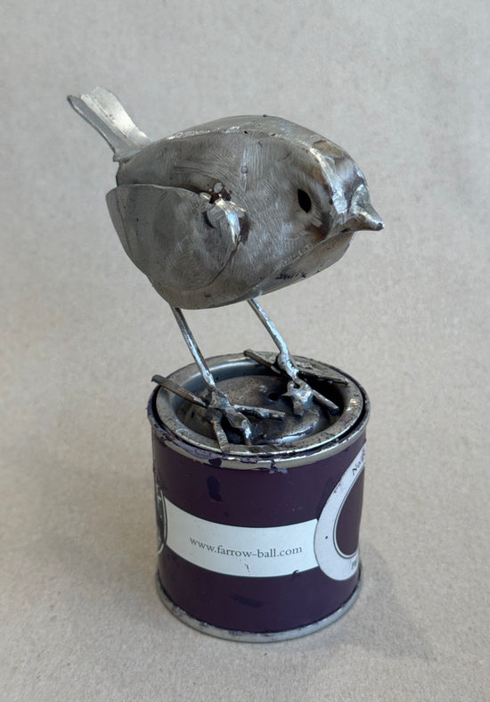 Robin on Paint Tin