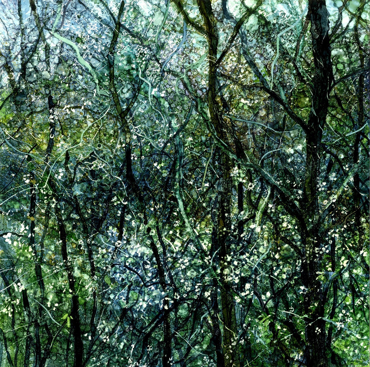 Blossom