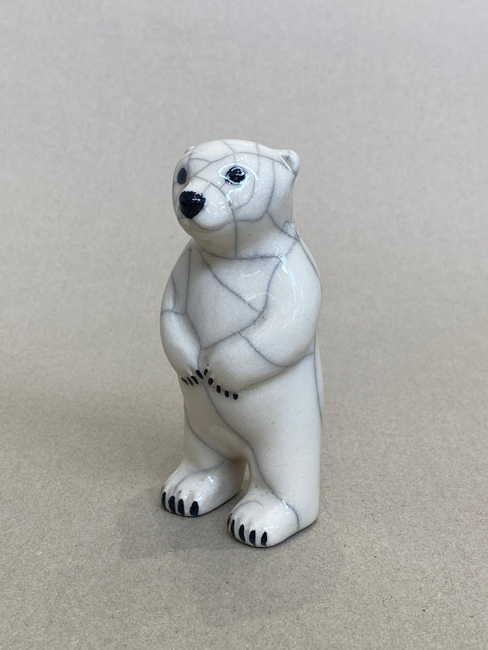 Small Polar Bear Standing Upright