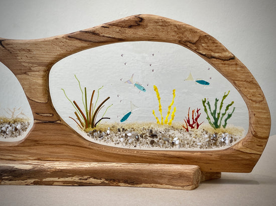 Double Panel Fish Aquarium