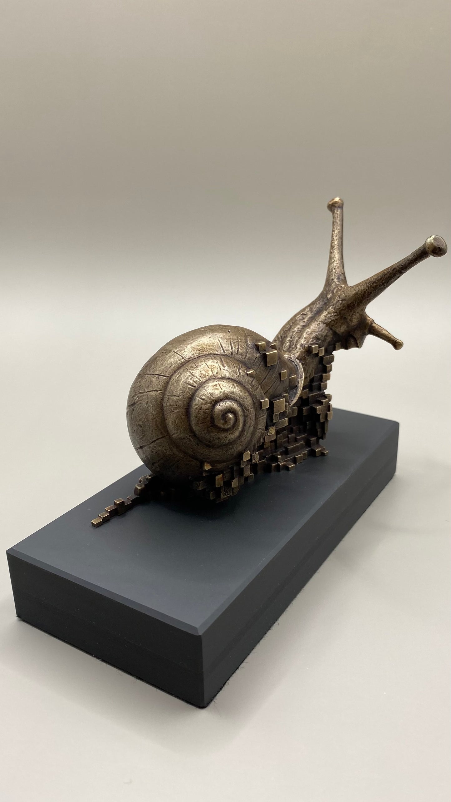 Snail