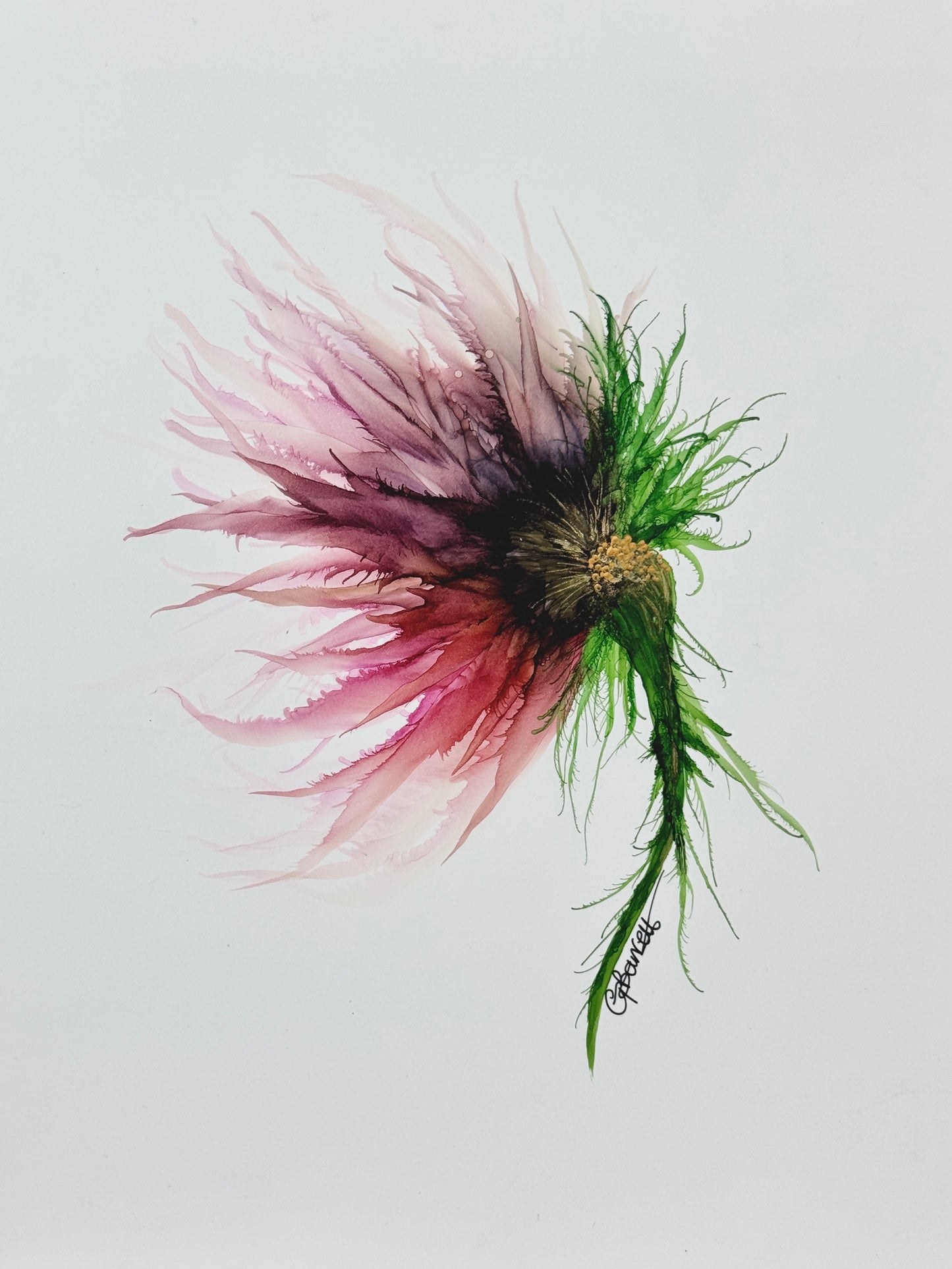 Whispers of the Wild