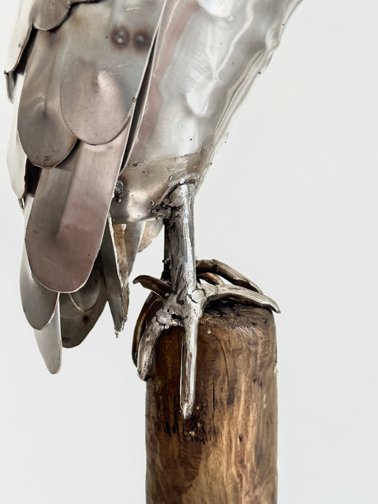 Sitting Owl