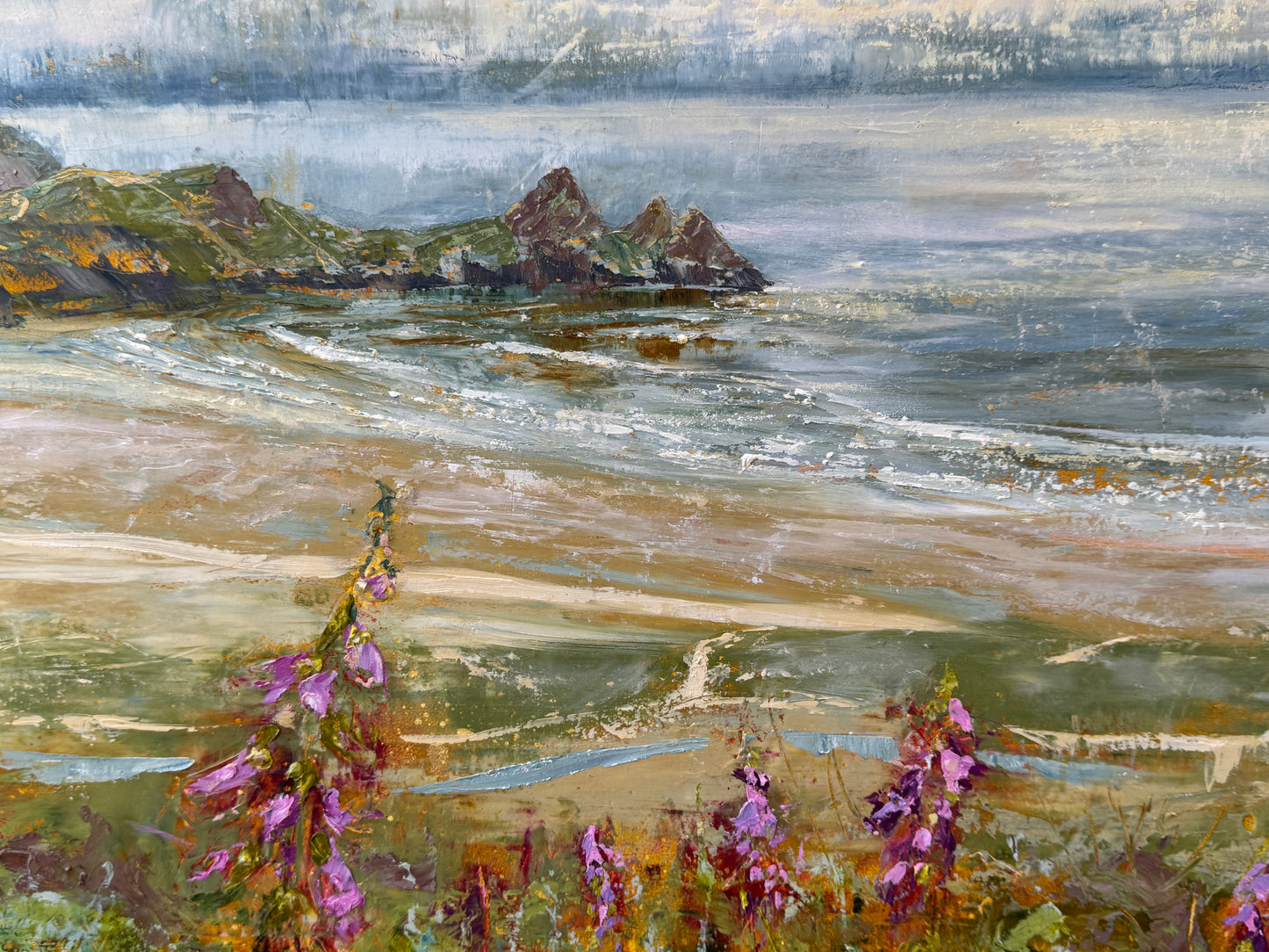 Foxgloves at Three Cliffs