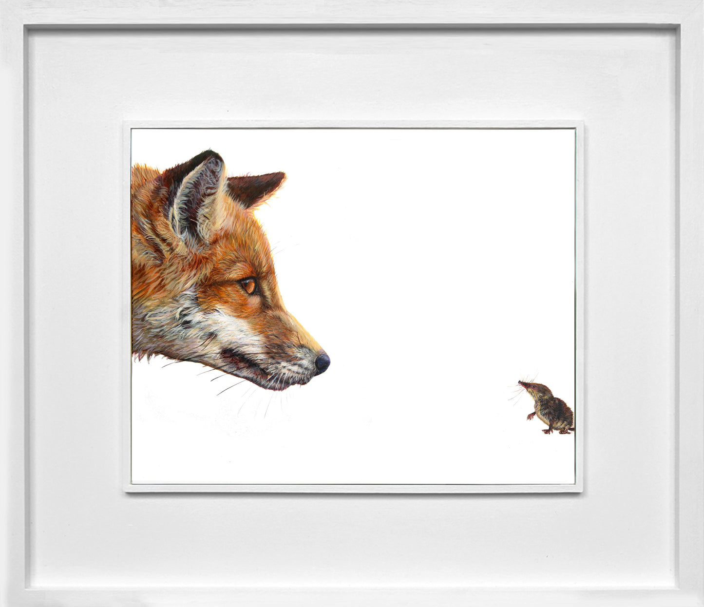 Top Predator: Fox & Shrew