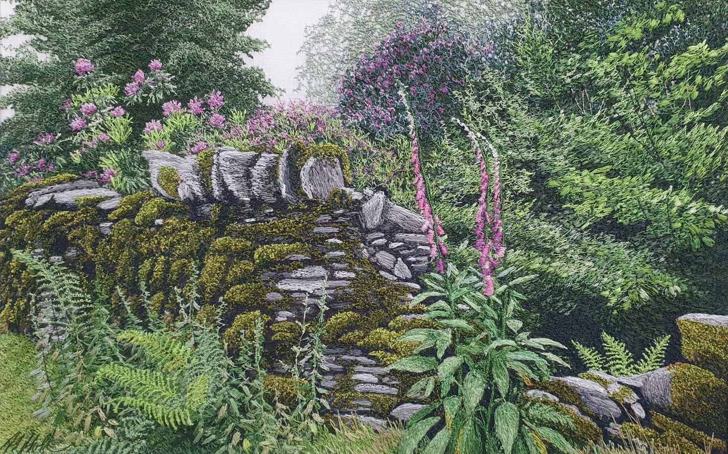 Foxgloves and Ferns