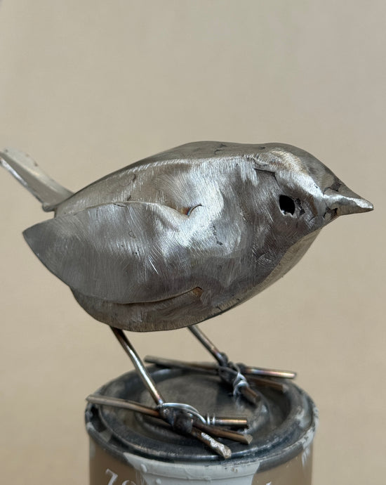 Robin on Paint Tin