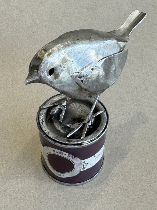 Robin on Paint Tin
