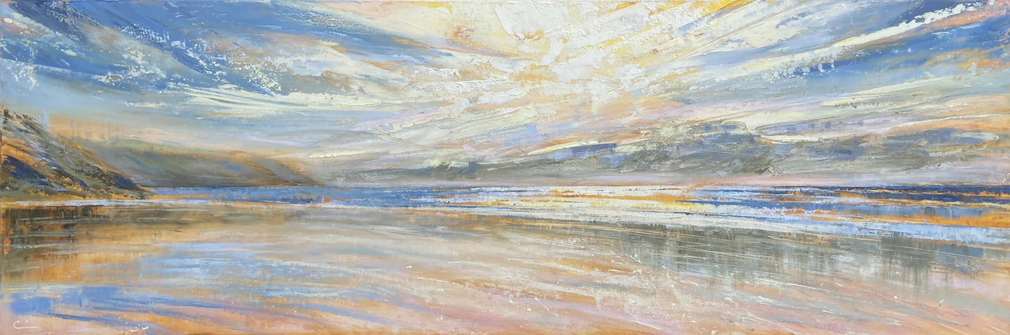 Late Winter Joy, Caswell Bay