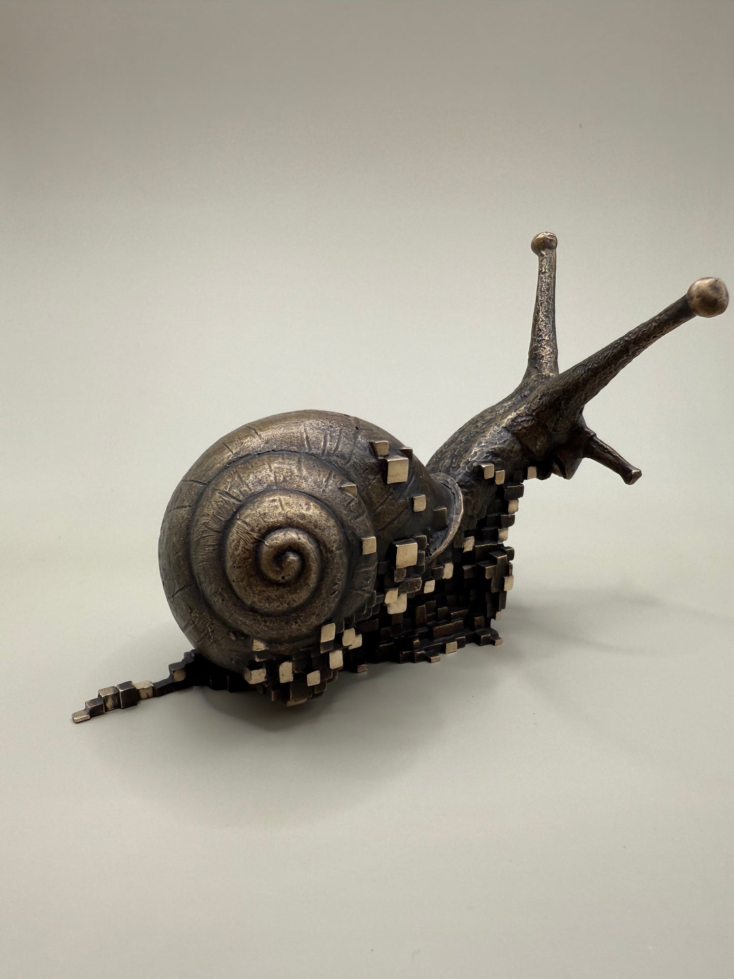 Snail