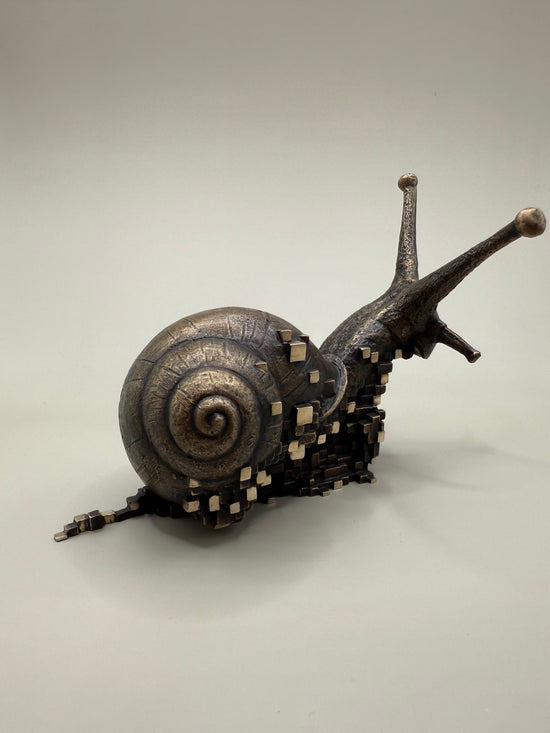 Snail
