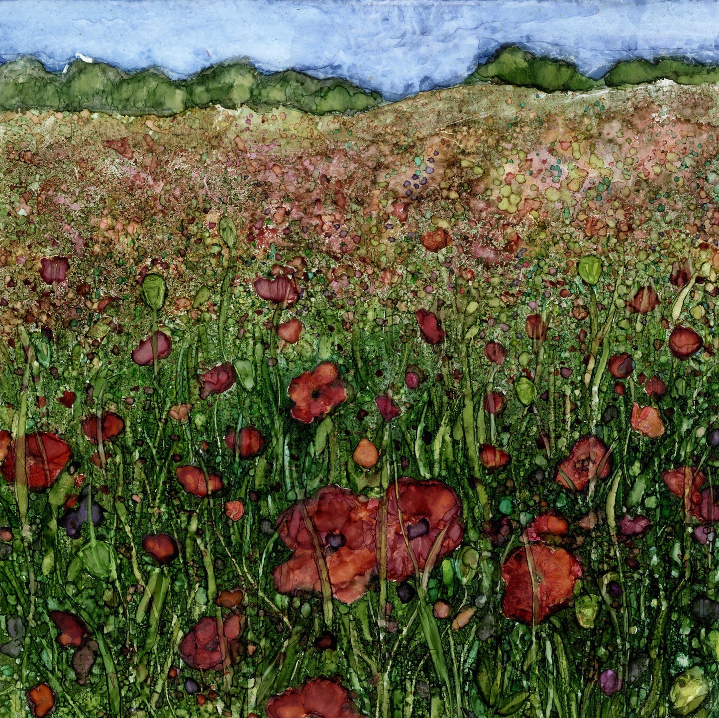 Poppy Meadow