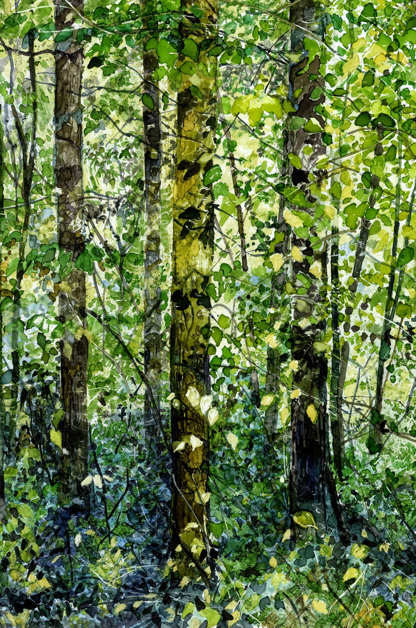 Tangled Trees
