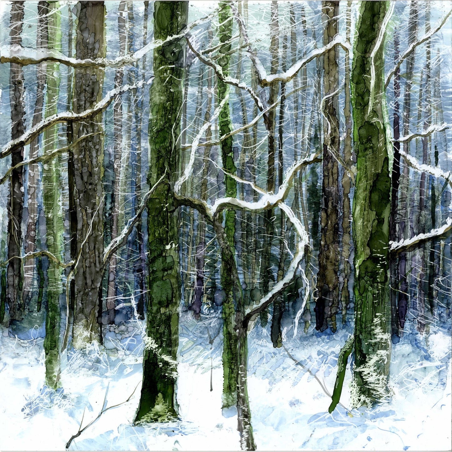Tangled Wood