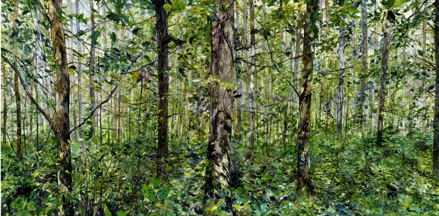 The Woodland Unruly