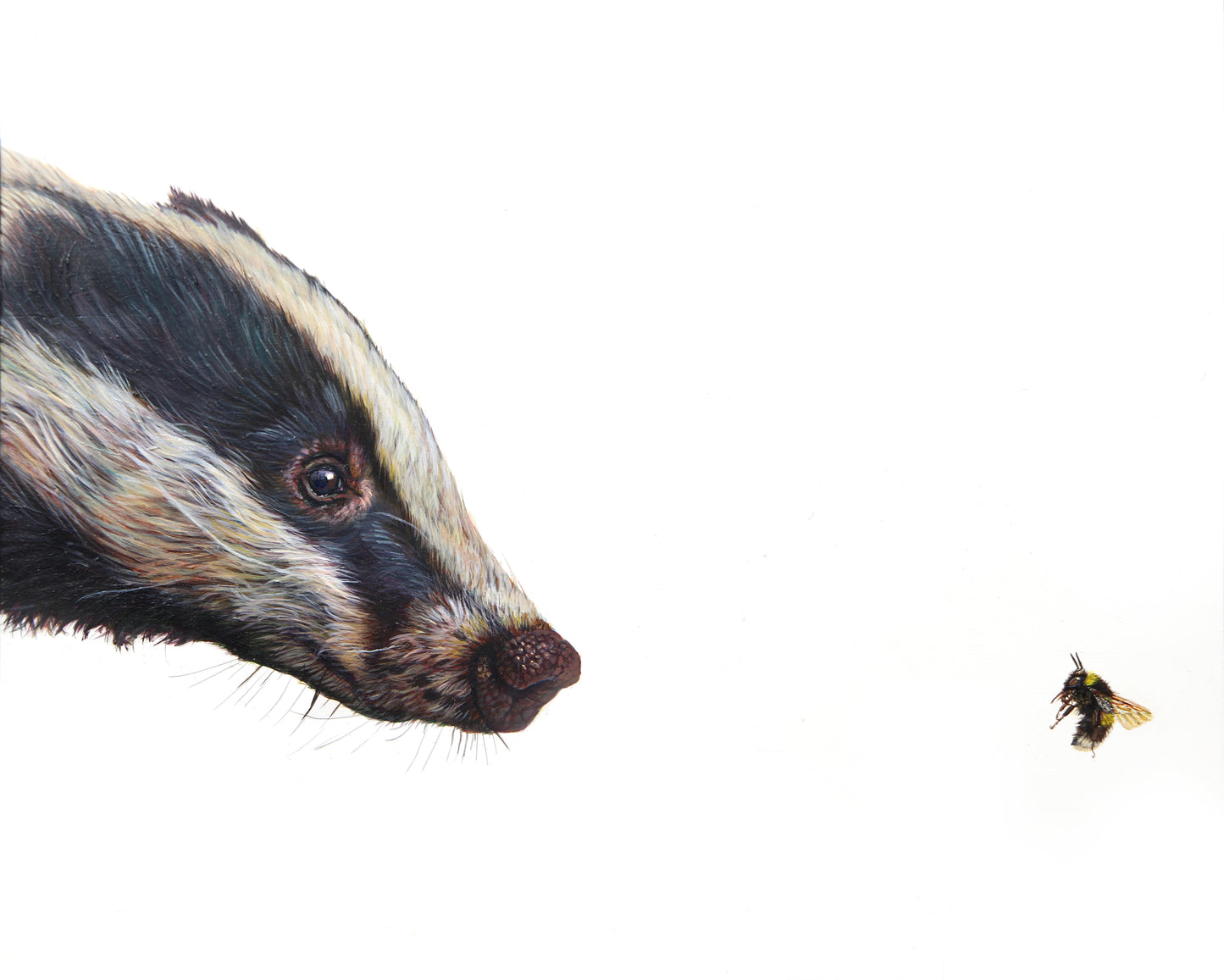 Top Predator: Badger & Bee