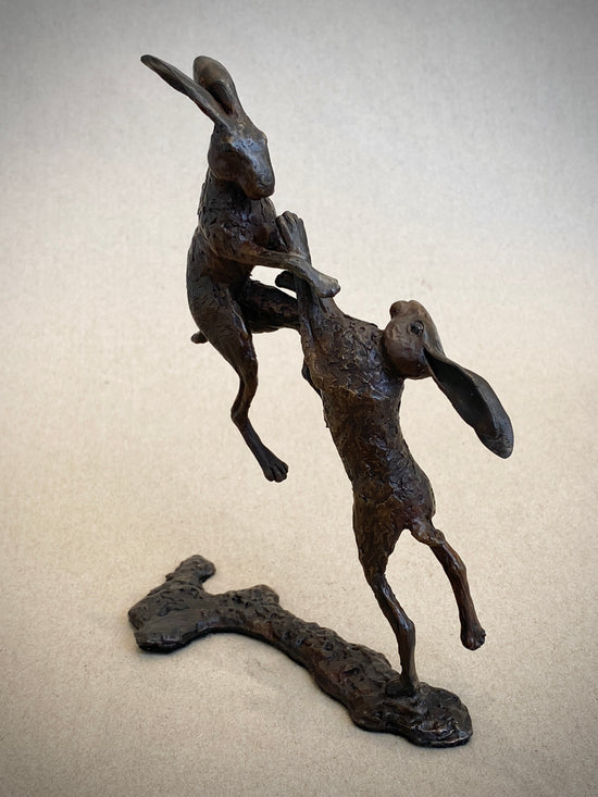 Fighting Hares