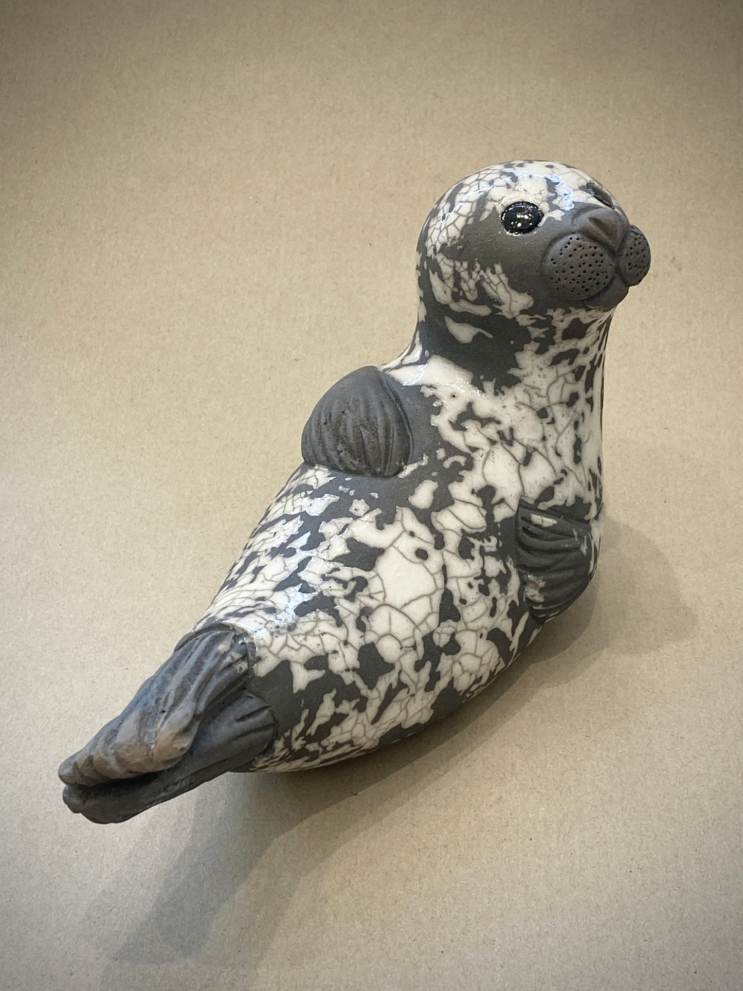 Adult Seal on Back