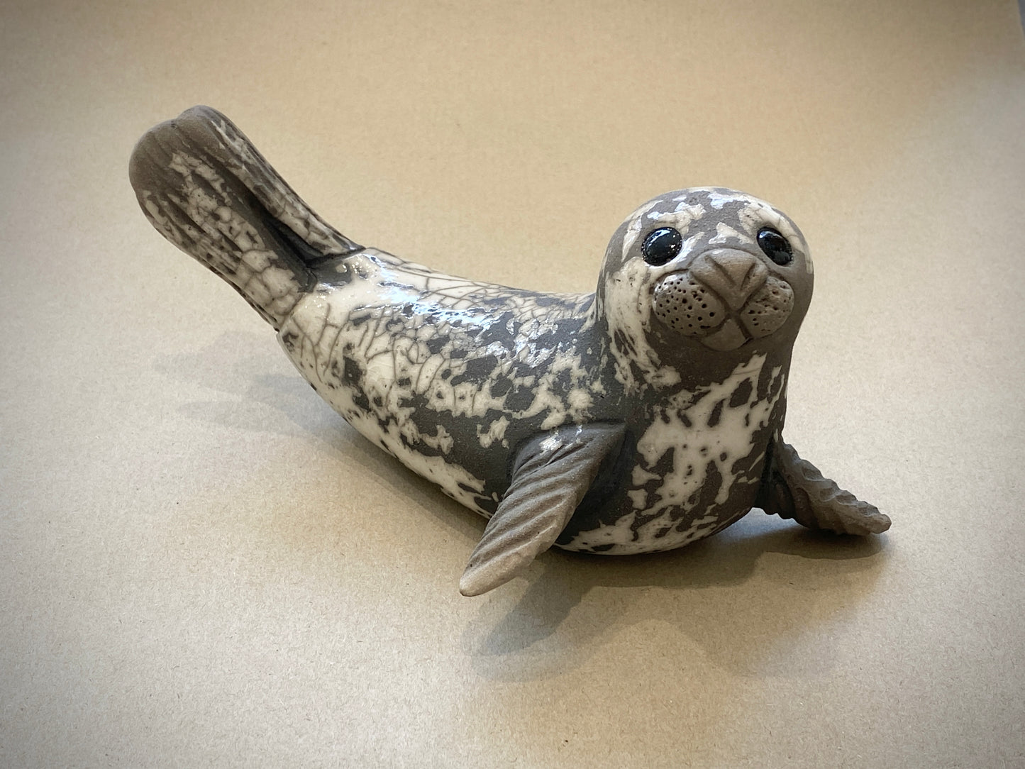 Adult Seal on Flippers