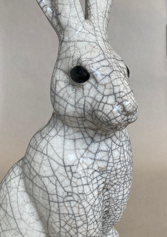 Sitting Hare