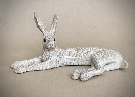 Medium Lying Hare