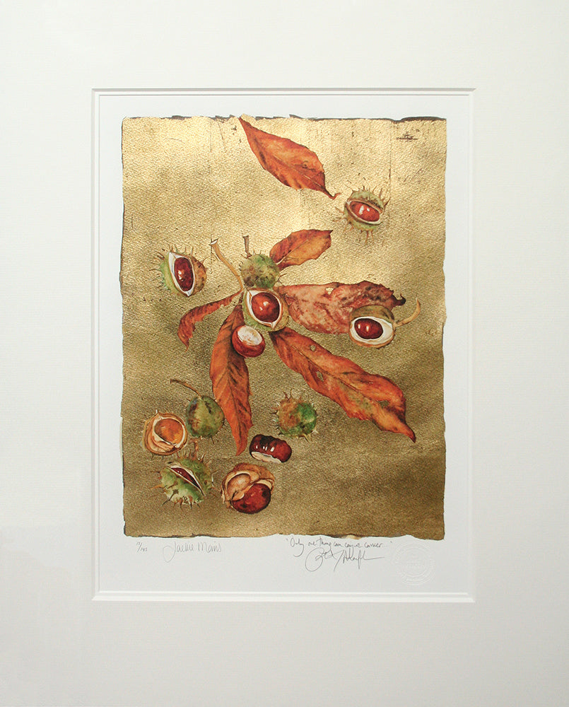Jackie Morris - The Lost Words 'Conker', Framed Premium Edition Print