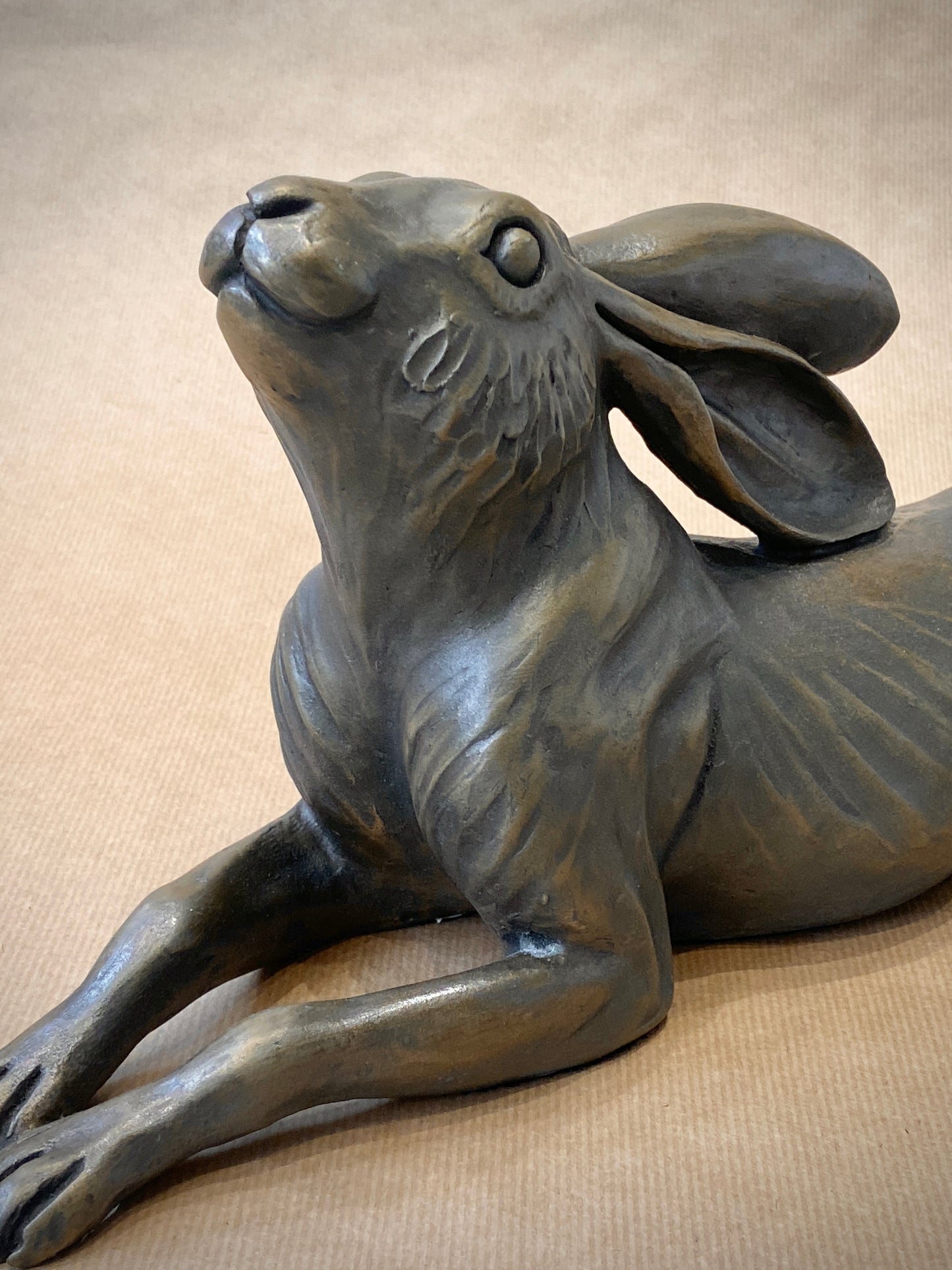 Long Relax Hare