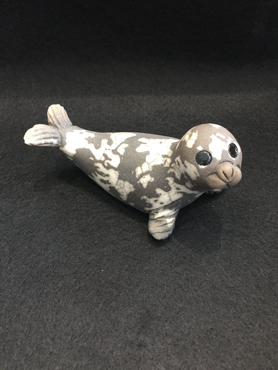 Seal Pup